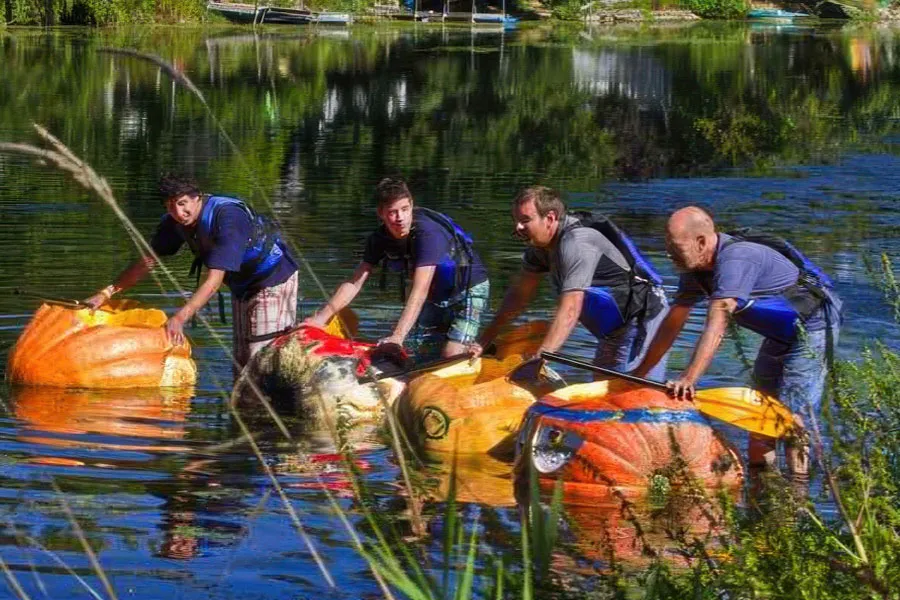 Giant Pumpkin Charity Regatta