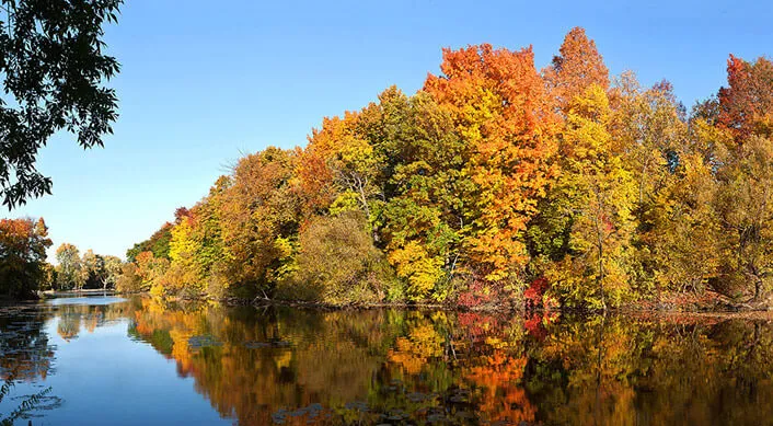 Fall in Cedarburg