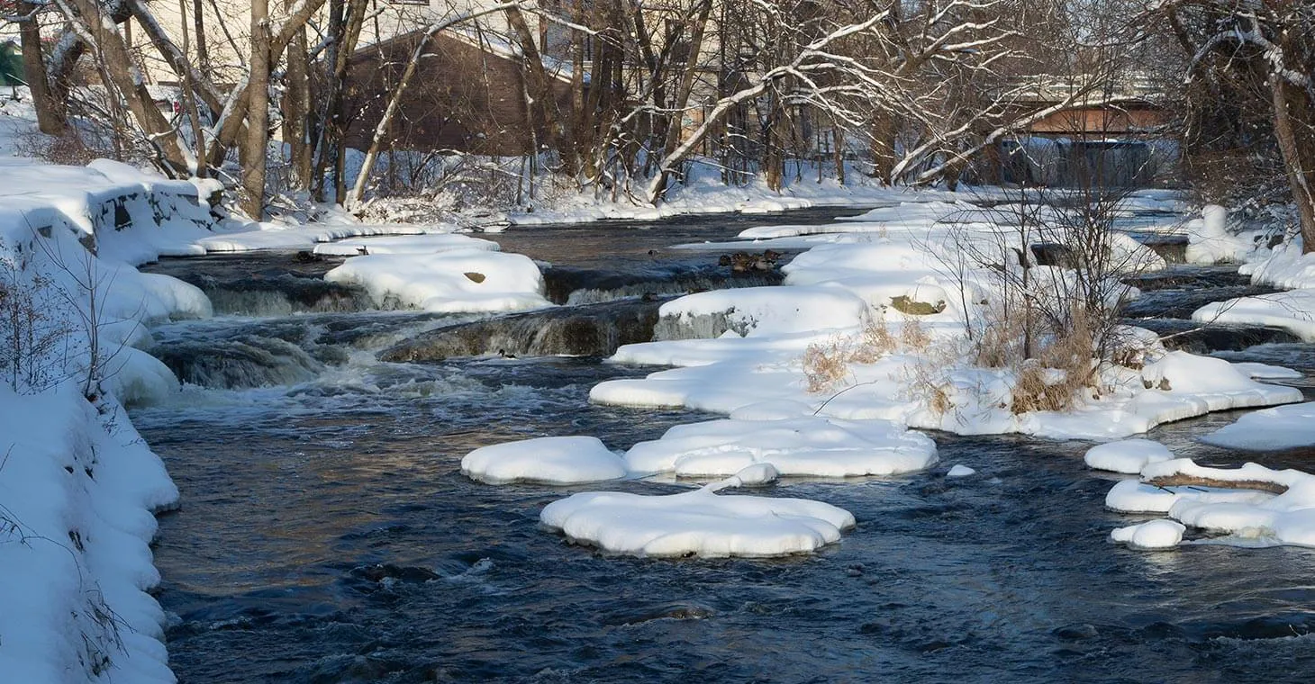 Creek during the winter