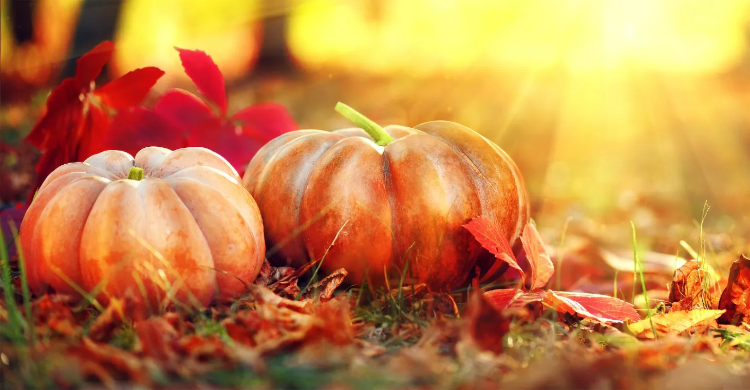 pumpkins and leaves on a Cedarburg, WI fall getaway
