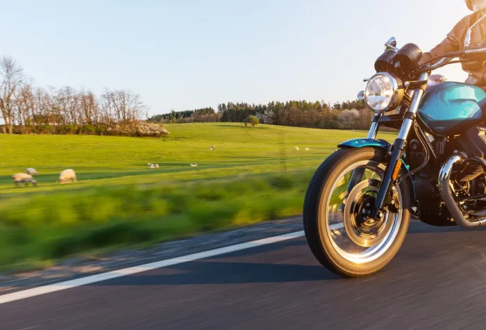 a man riding a motorcycle by a green field with sheep