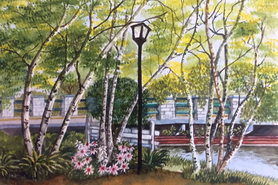 Julia Nawrot - Artist of the Month
