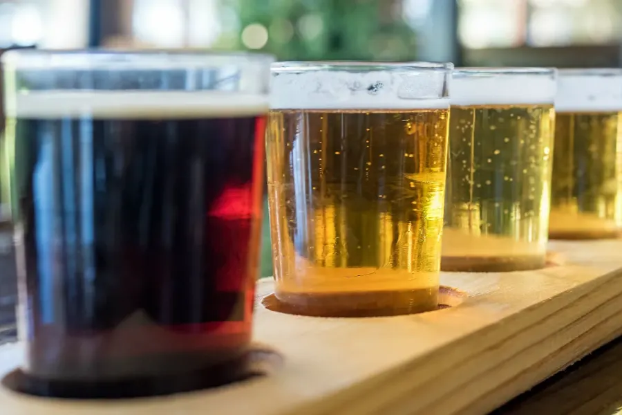 a flight of beers at a Cedarburg brewery