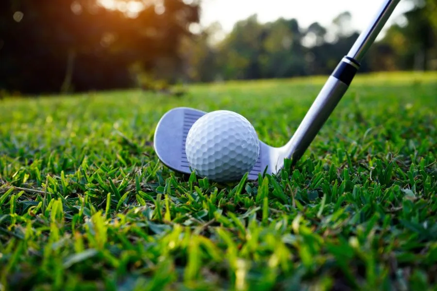 golf putter and golf ball on grass