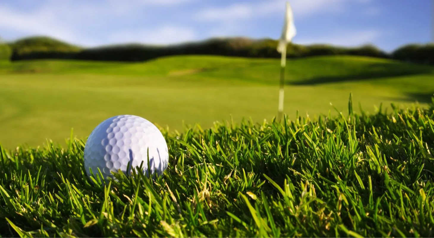 golf ball in grass with flag in the background