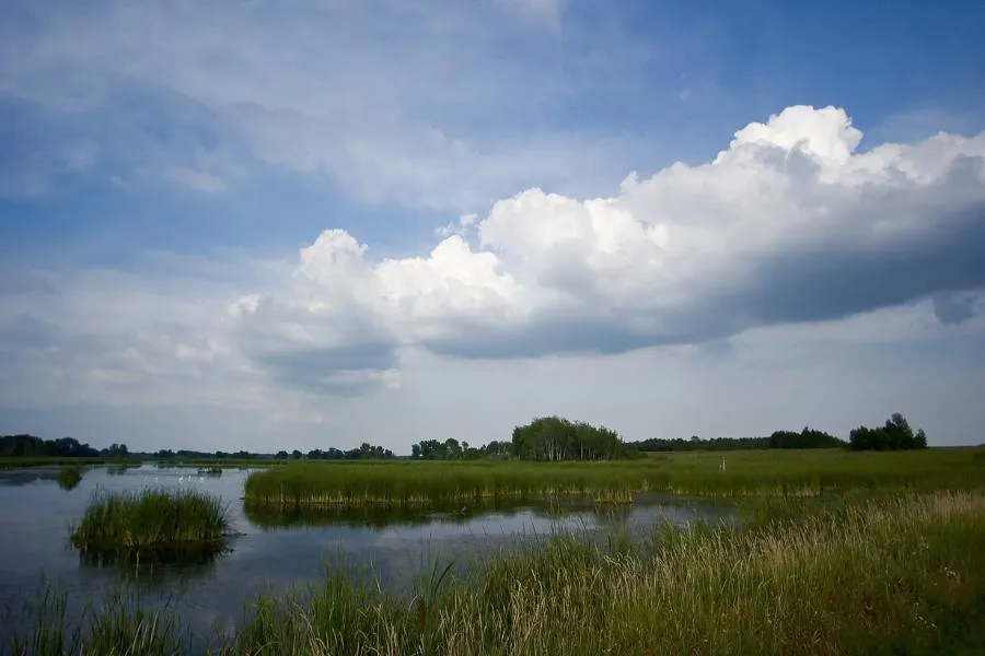 Landscape of Horicon Marsh