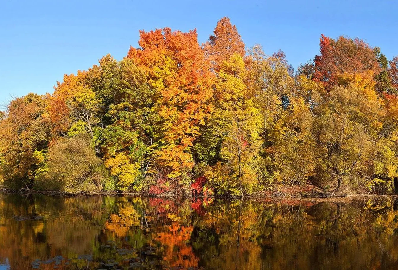 Autumn colors along Cedar Creek in Cedarburg