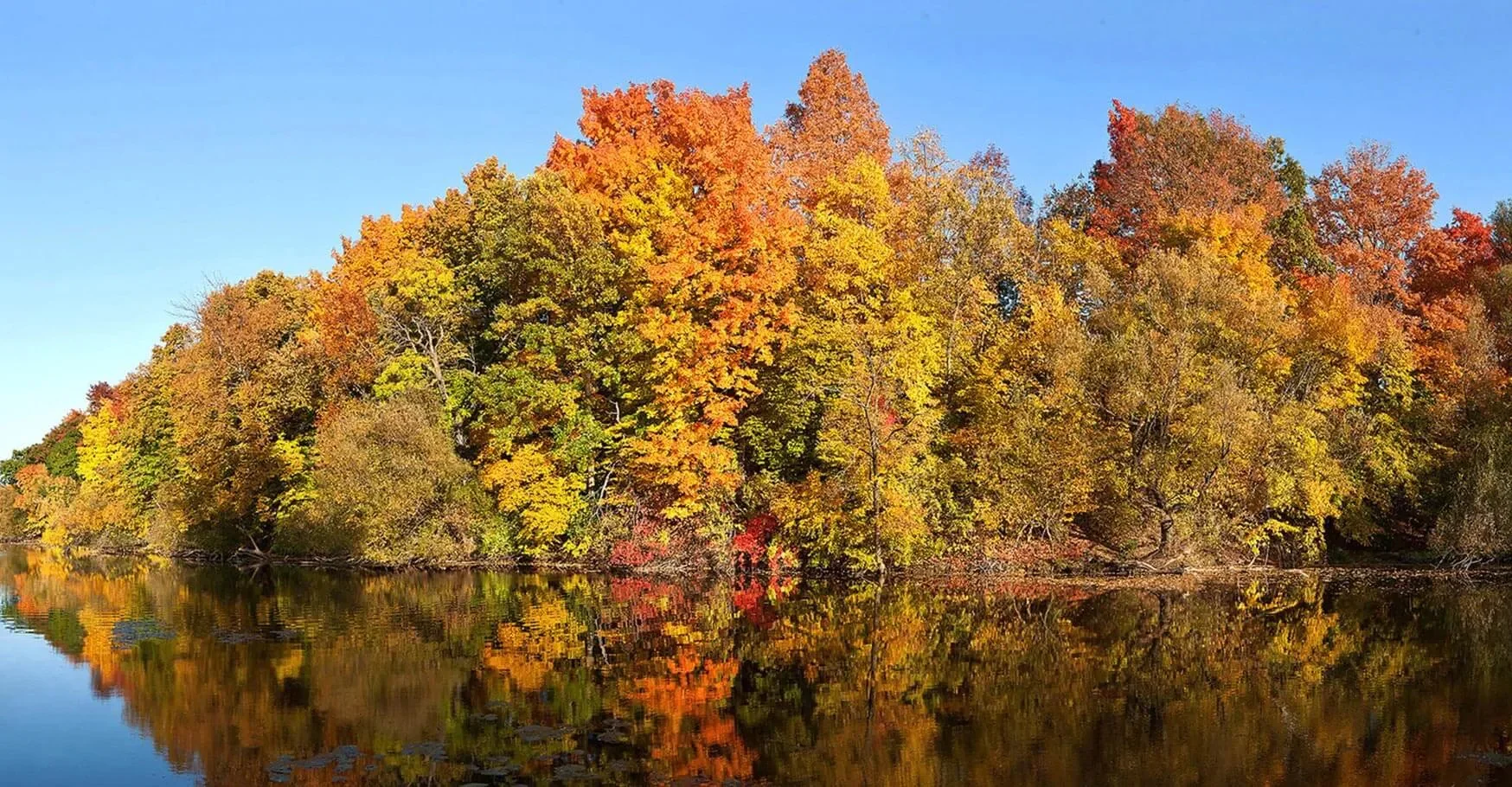 Autumn colors along Cedar Creek in Cedarburg